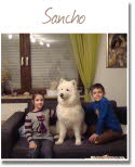 081_Sancho_2015